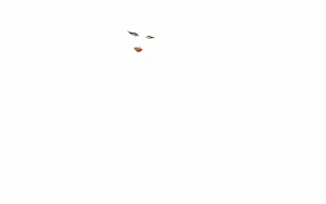 Page 825 of CataclyZm - preview thumbnail