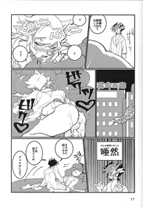Page 18 of LOTUS - preview thumbnail