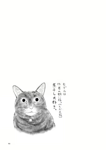 Page 93 of Kohaku Biyori Soushuuhen Makinoni - preview thumbnail