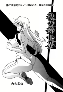 Page 294 of COMIC Megaplus 2007-06 Vol. 44 - preview thumbnail