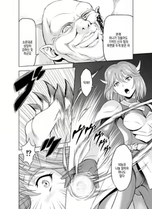 Page 28 of Reties no Michibiki | 레티에스의 인도 Vol. 4 - preview thumbnail