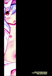 Page 24 of Saiin Scarlet (Touhou Project) | Hypnosis in the Scarlet Mansion - preview thumbnail