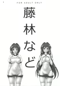 Page 2 of Fujibayashi Nado - Fujibayashi Twins After Story (decensored) - preview thumbnail