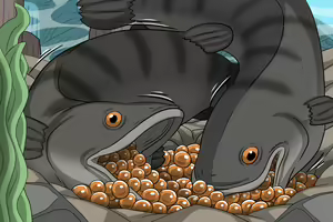 Page 2 of Dick Fish - preview thumbnail