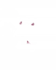 Page 626 of Ruled by Rule ～規則支配～ - preview thumbnail