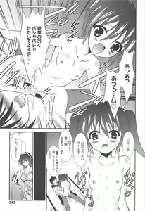 Page 313 of Manga Bangaichi 2011-12 - preview thumbnail