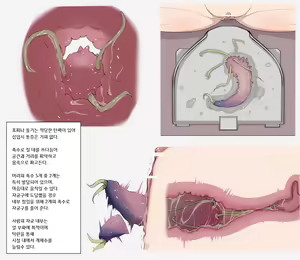 Page 3 of Mushi Research Report No.1 - preview thumbnail