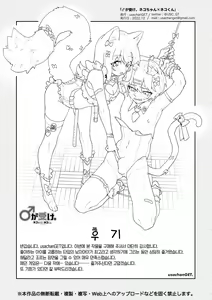 Page 73 of ♂ ga Uke. Neko-chan x Neko-kun | ♂이 수비. 고양이 쨩 × 고양이 군 - preview thumbnail