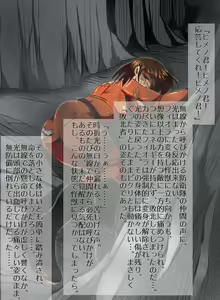 Page 98 of shade no Illust Omnibus Soushuuhen - preview thumbnail