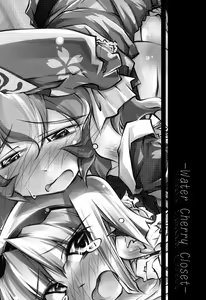 Page 2 of Water Cherry Closet - preview thumbnail