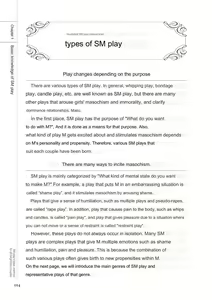 Page 12 of SM play manual - preview thumbnail