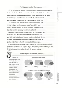 Page 51 of SM play manual - preview thumbnail