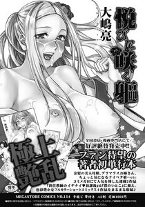 Page 248 of COMIC Megastore 2008-05 - preview thumbnail