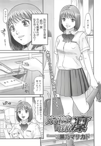 Page 455 of COMIC Megastore H 2010-06 - preview thumbnail