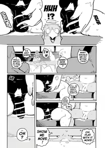 Page 3 of White-Tailed Eagle and Owls - preview thumbnail