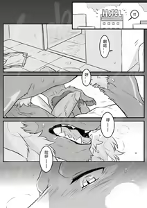 Page 12 of No Title - preview thumbnail