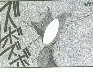 Page 195 of Cotton Comic 1994-06 - preview thumbnail