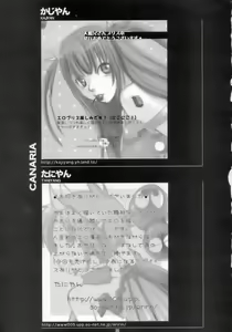 Page 36 of canaria - preview thumbnail