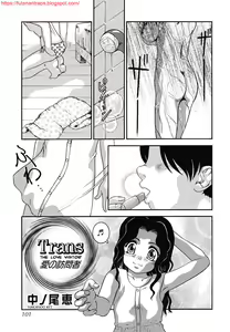 Trans - The Love Visitor — hentai manga cover on Fhentai