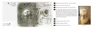 Page 345 of Made in Abyss 来自深渊 设定集汇总 - preview thumbnail