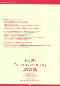 Page 11 of Otona Muke Hakurei Reimu - preview thumbnail