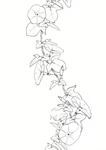 Page 122 of 姉なるもの 1-11 【中国翻译】 - preview thumbnail