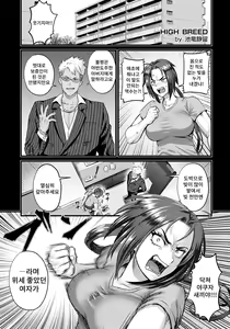 HIGH BREED ~ Muhai Joou To Saikyou Otoko ~ | HIGH BREED～무패여왕과 최강남～ — hentai manga cover on Fhentai