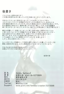 Page 22 of Hobby Gallary 2 - preview thumbnail