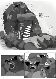 Page 20 of OSPK ILLUST BOOK - preview thumbnail