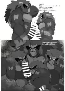 Page 21 of OSPK ILLUST BOOK - preview thumbnail