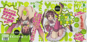 Page 43 of You're My Idol (Aibuka! (Kari)) (decensored) - preview thumbnail