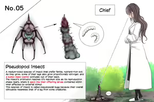 Page 19 of Insect Research Report No.1-6 - preview thumbnail