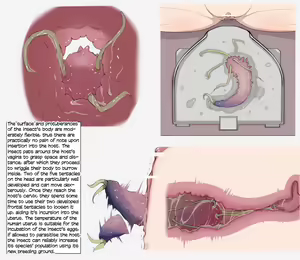 Page 4 of Insect Research Report No.1-6 - preview thumbnail