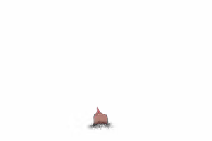 Page 1009 of Pray Game (decensored) - preview thumbnail