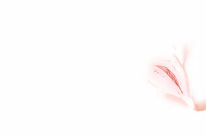 Page 1127 of Pray Game (decensored) - preview thumbnail