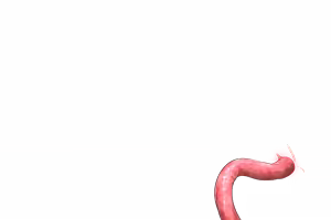 Page 902 of Pray Game (decensored) - preview thumbnail