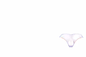 Page 915 of Pray Game (decensored) - preview thumbnail