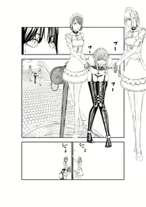 Page 14 of M.A.I.D.S System - preview thumbnail