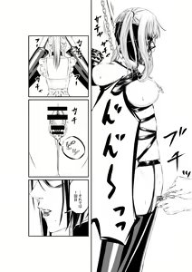 Page 24 of M.A.I.D.S System - preview thumbnail