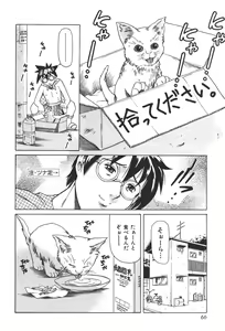 Page 69 of Mahou no Moerist Lyrical Ririnka - preview thumbnail
