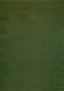 Page 16 of ISLAND x ISLAND - preview thumbnail