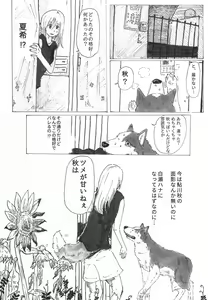 Page 282 of Stray Dogs - preview thumbnail