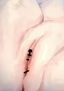 Page 437 of Kouyuubutsu Shoujo | 公有物少女 - preview thumbnail
