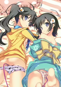 Page 1091 of Monagatari Series Collection - preview thumbnail