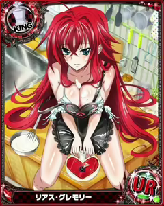 Page 224 of High School DxD Collection - preview thumbnail