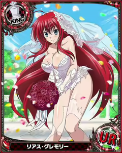 Page 225 of High School DxD Collection - preview thumbnail