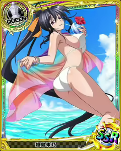 Page 255 of High School DxD Collection - preview thumbnail