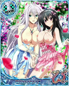 Page 855 of High School DxD Collection - preview thumbnail