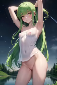Page 1038 of Code Geass Collection - preview thumbnail