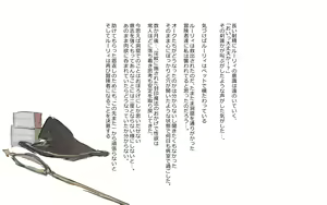 Page 80 of Moto Boukensha Majutsushi Lurie-chan Inmon Kokuin ~Nikutai Hametsu Kairaku Hen~ - preview thumbnail